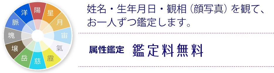 匠真12属性 T12 匠真幸希による究極の占い